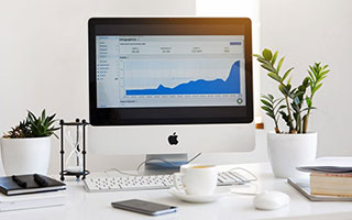 BOB半岛体育：海风中的极致体育体验与智慧生活方式